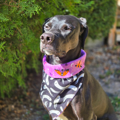 Ghosts and Moths Dog Bandana