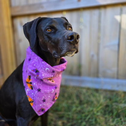 Ghosts and Moths Dog Bandana