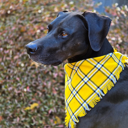 Black and Yellow Plaid Dog Bandana