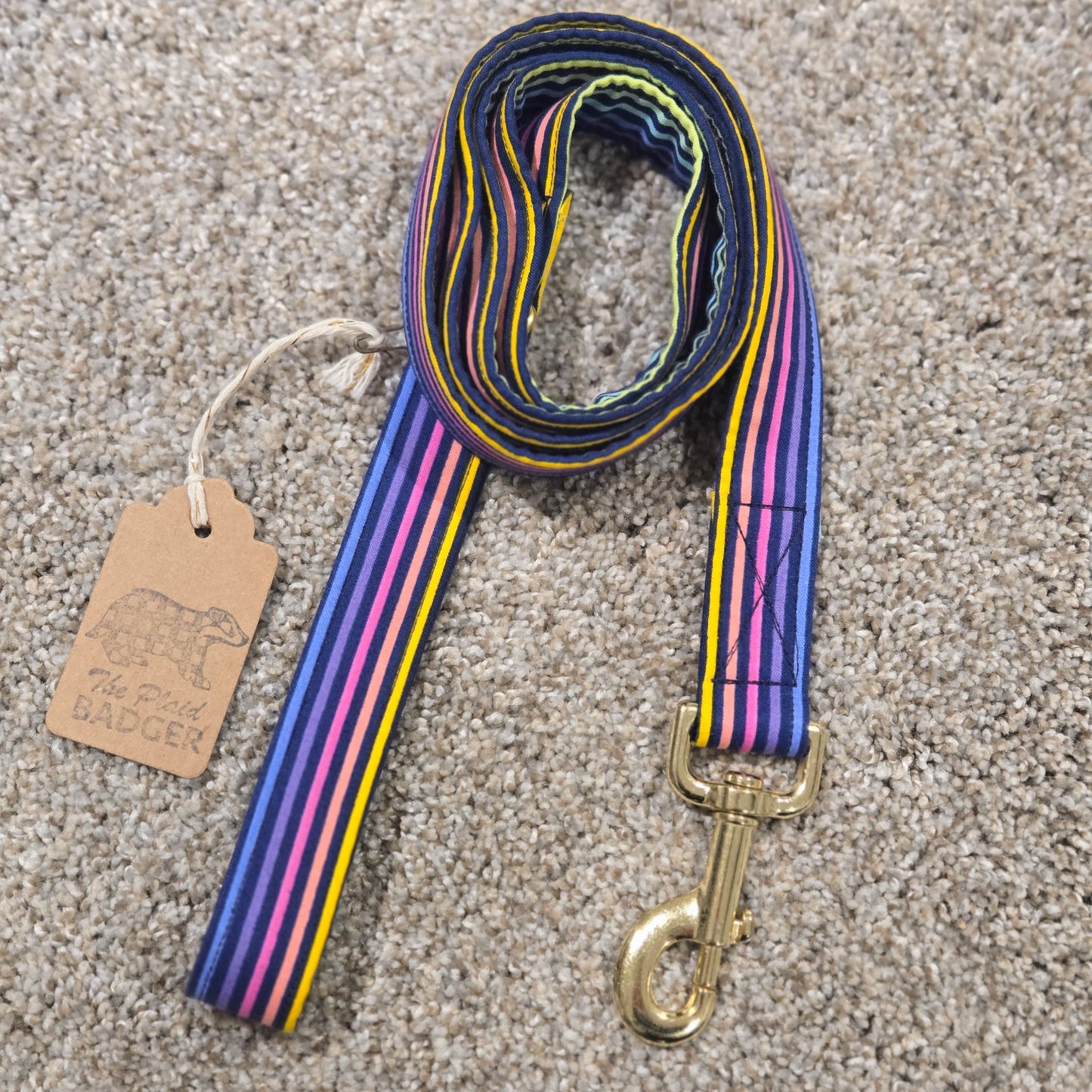 Retro Neon Rainbow Dog Leash