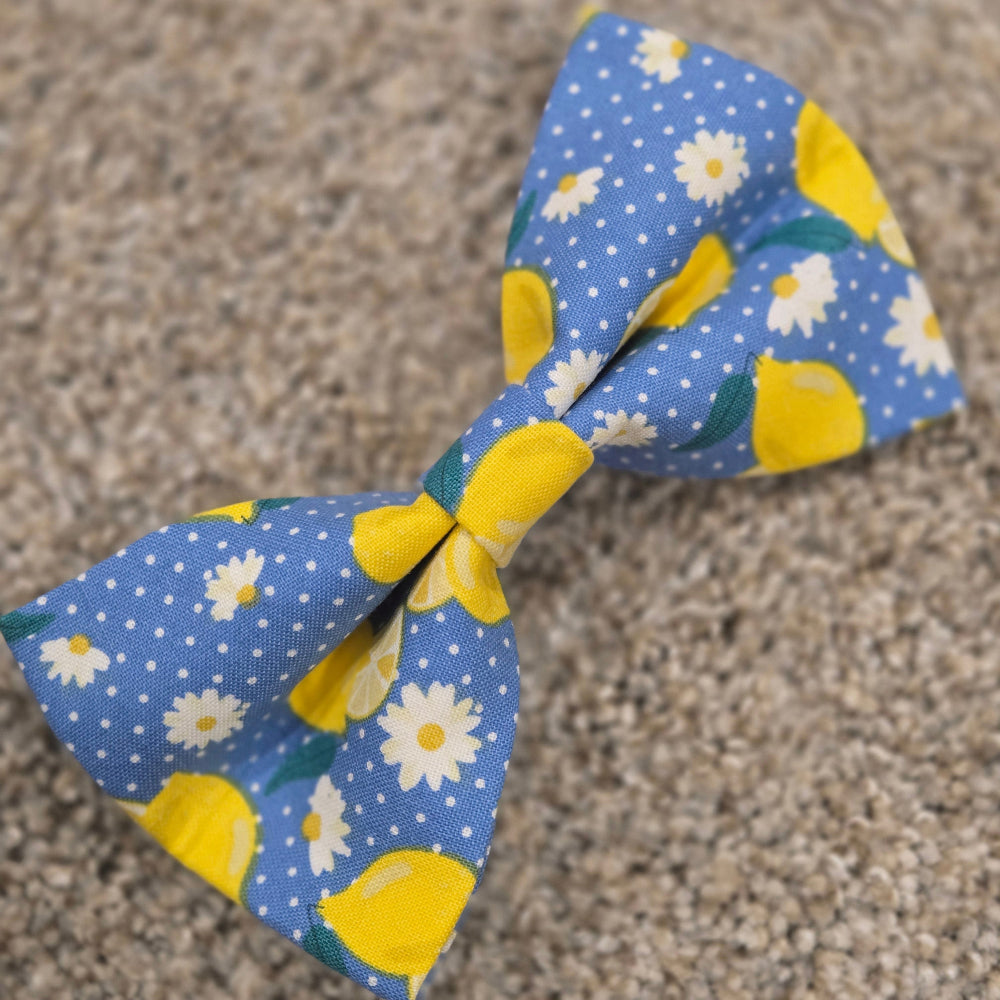 Lemonade Dog Bow