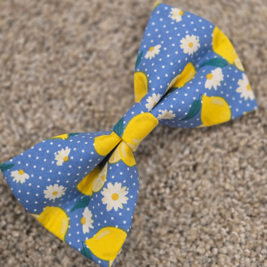 Lemonade Dog Bow