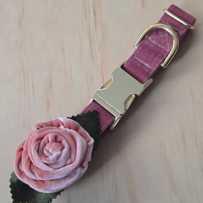 Dusty Rose Corduroy Dog Collar