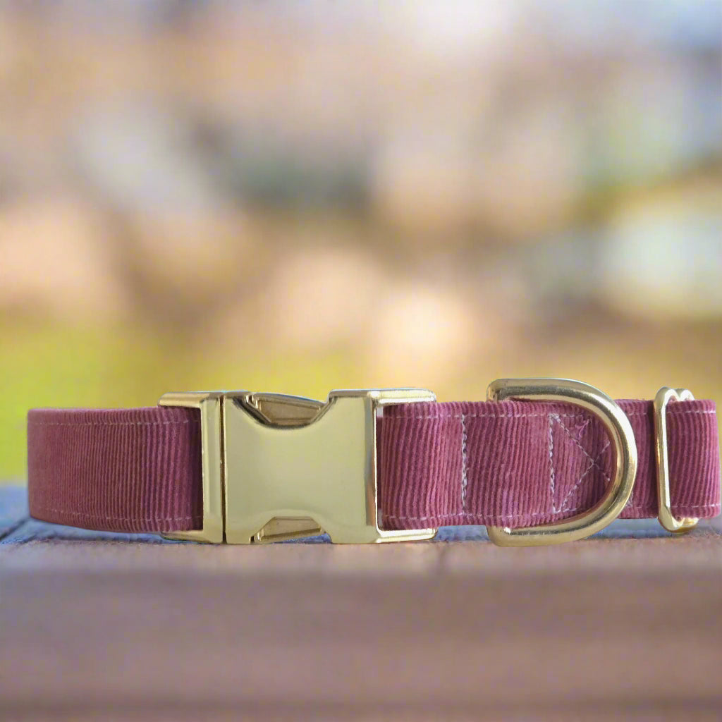 Dusty Rose Corduroy Dog Collar