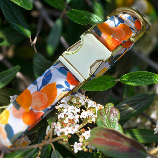 Citrus Set