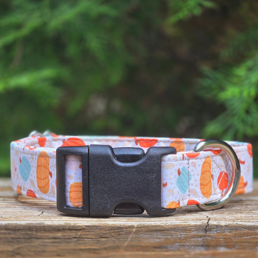 Colorful Pumpkins Dog Collar