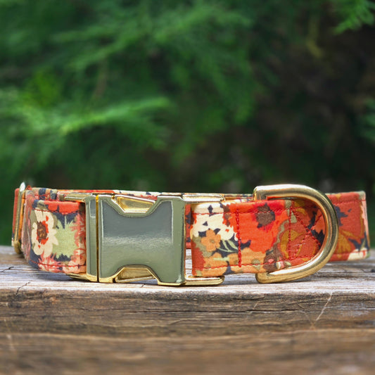 Fall Blooms Dog Collar