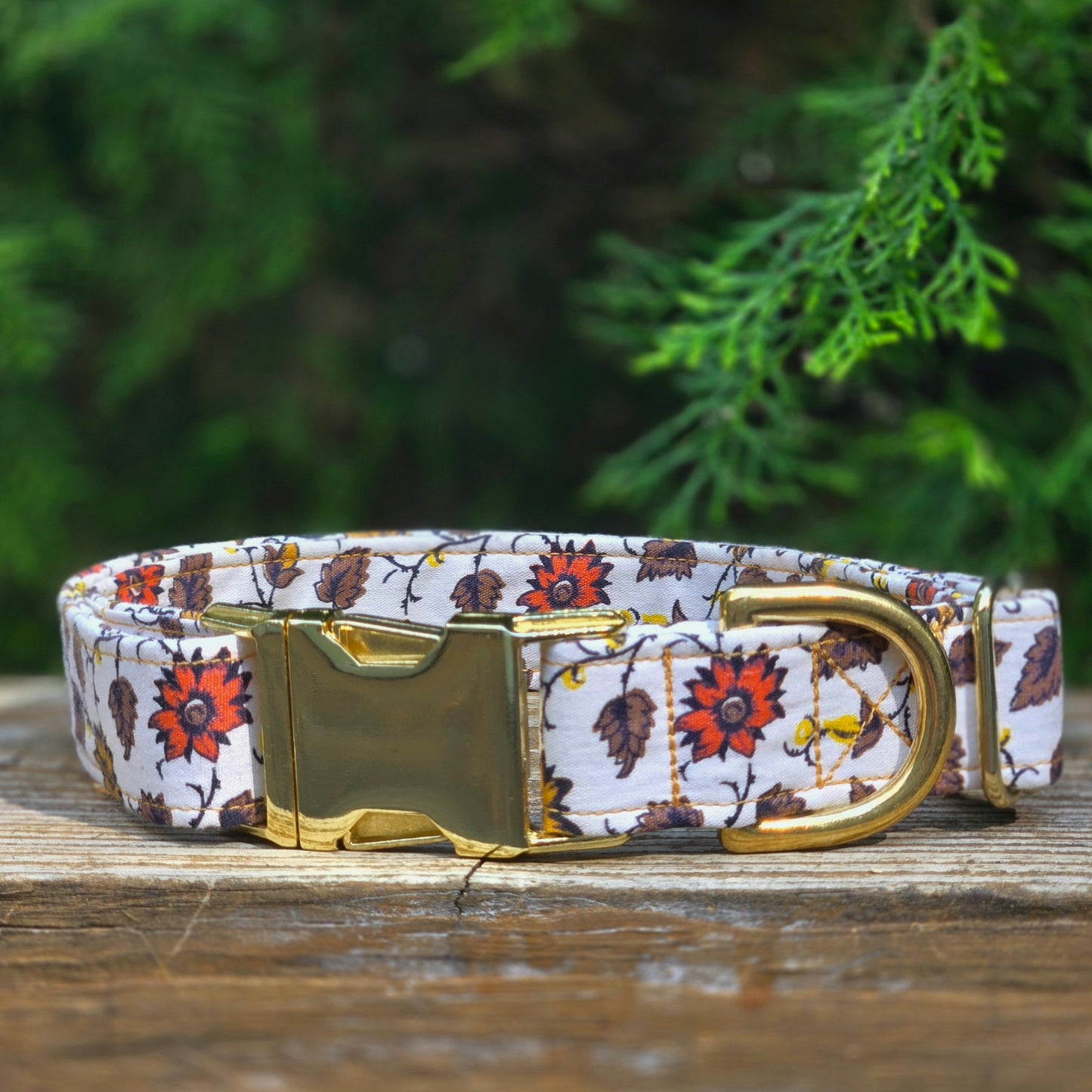 Sunflowers Dog Collar