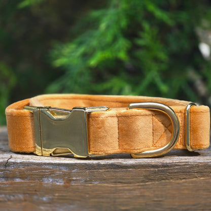 Velvet Dog Collar - Butternut