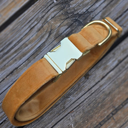 Velvet Dog Collar - Butternut