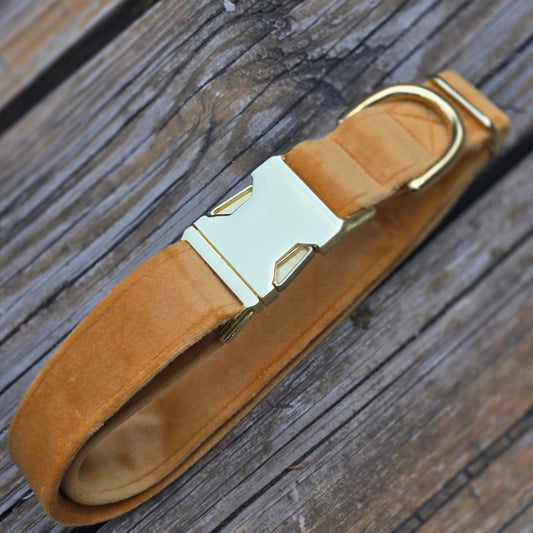 Velvet Dog Collar - Butternut