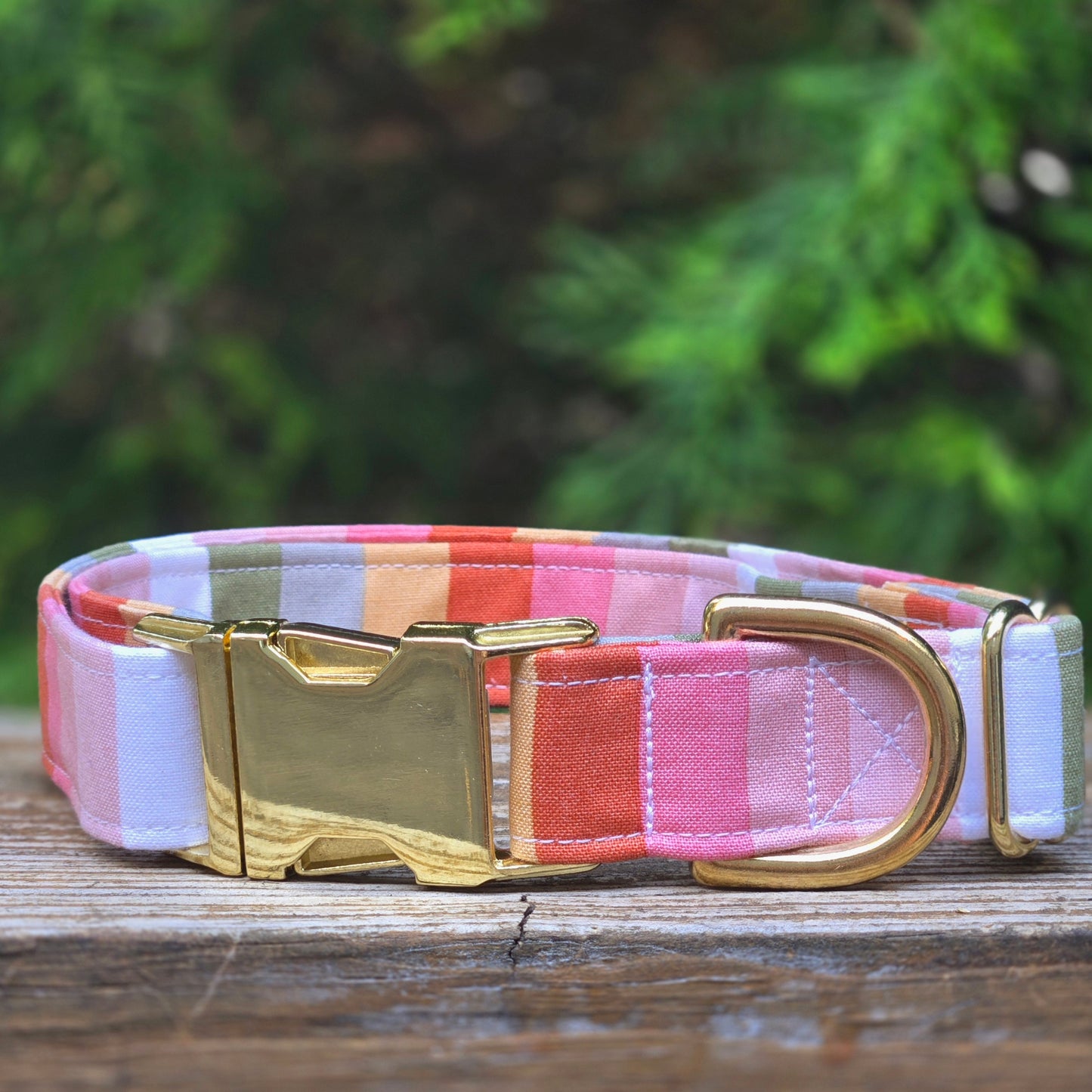 Candy Stripe Dog Collar