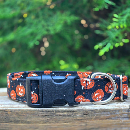 Jack O'Lantern Dog Collar