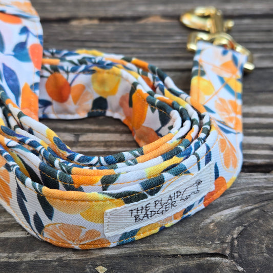 Citrus Dog Leash