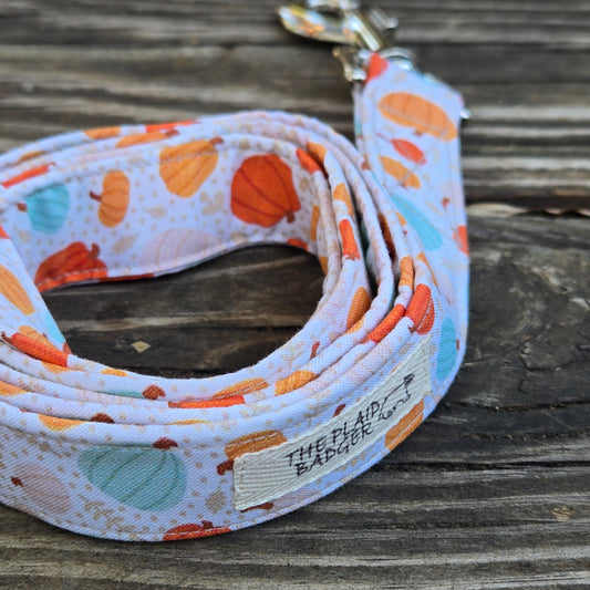 Colorful Pumpkins Dog Leash