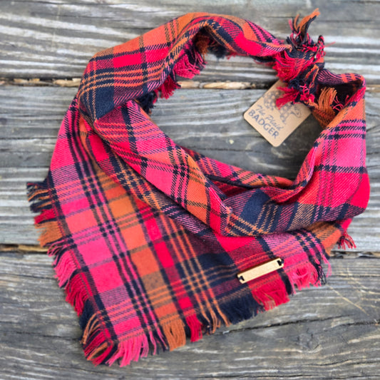 Cranberry Bounce Dog Bandana