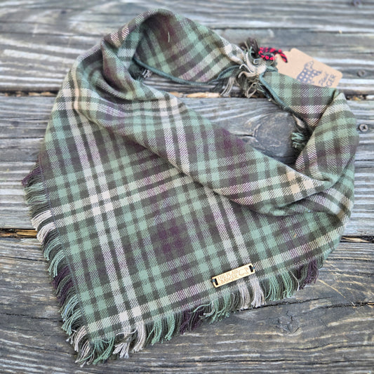 Hiking Trail Dog Bandana