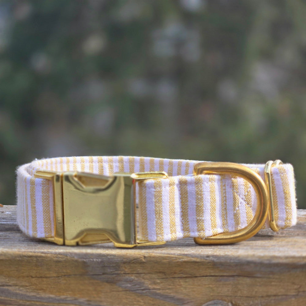 White and mustard yellow striped dog collar with gold buckle on a wooden surface