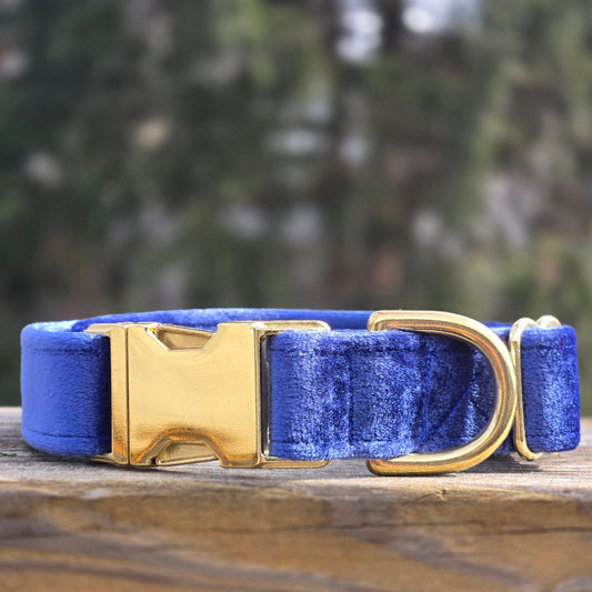 Cornflower blue velvet dog collar with a gold buckle on a wooden surface with a blurred green background