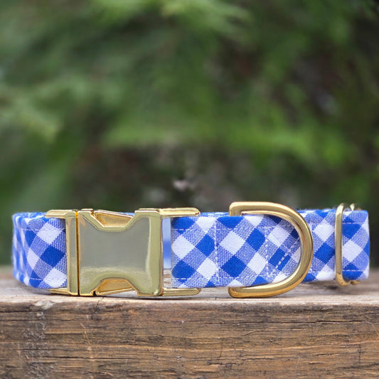 Royal blue and white gingham checkered dog collar with gold hardware on a wooden surface with a blurred green background