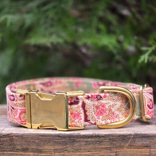 Sage and Pink Paisley Dog Collar