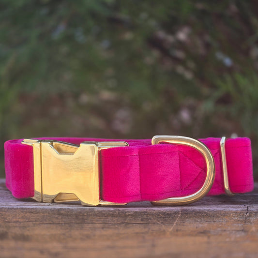 Velvet Dog Collar - Hot Pink