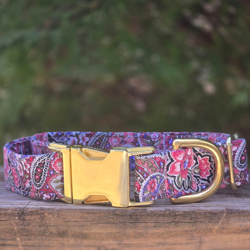 Pink and Purple Paisley Dog Collar
