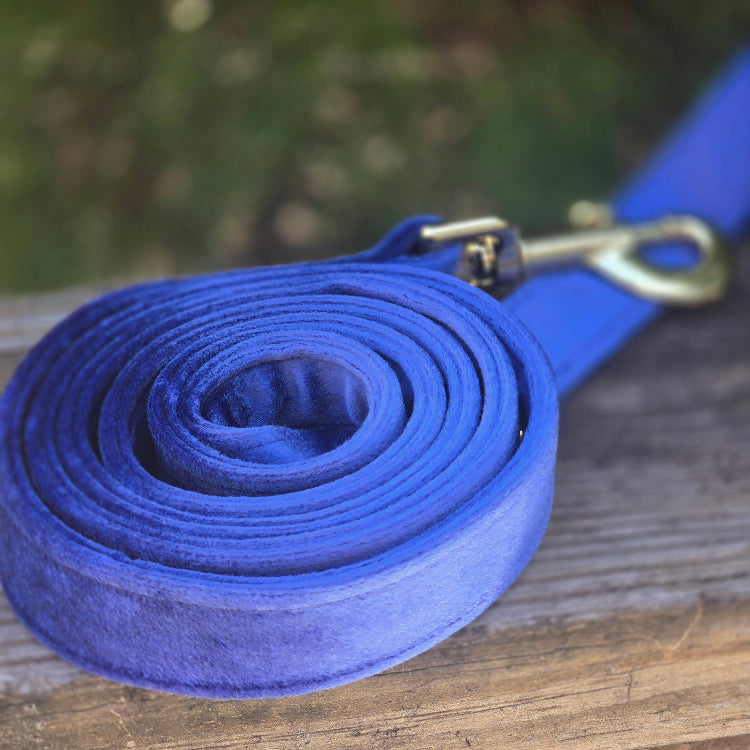 Cornflower blue velvet dog leash coiled on a wooden surface with a blurred green background