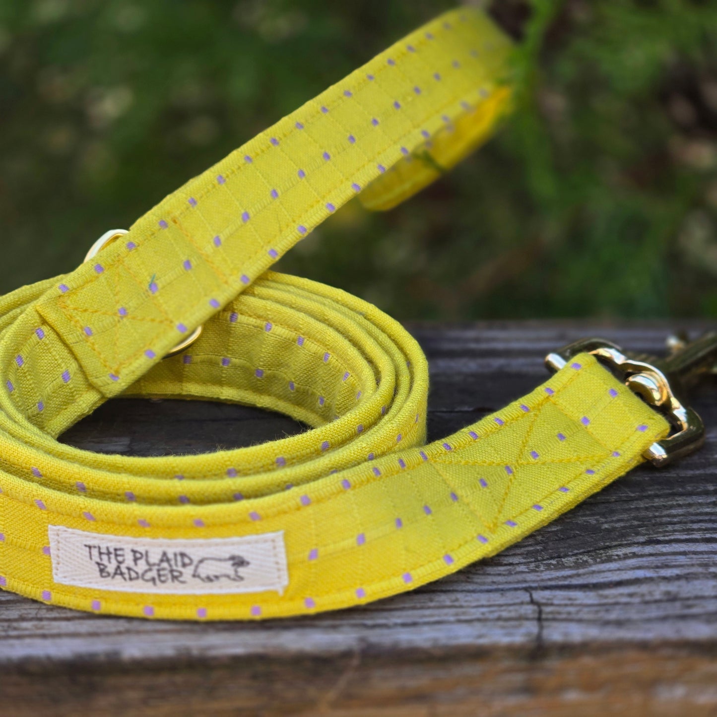 Day Glo and Checks Dog Leash
