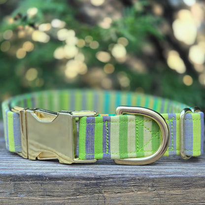 Desert Sunrise Stripe Dog Collar