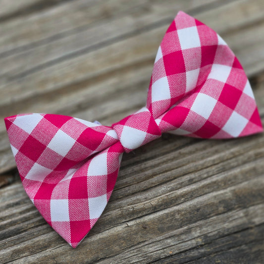 Dragon Fruit Gingham Dog Bow Tie