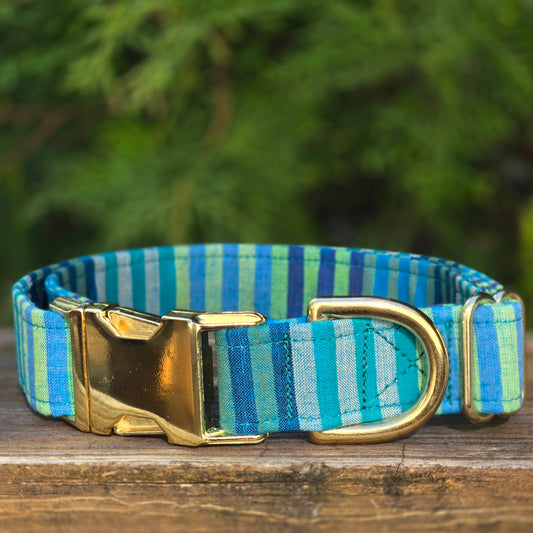 Caribbean Stripe Dog Collar