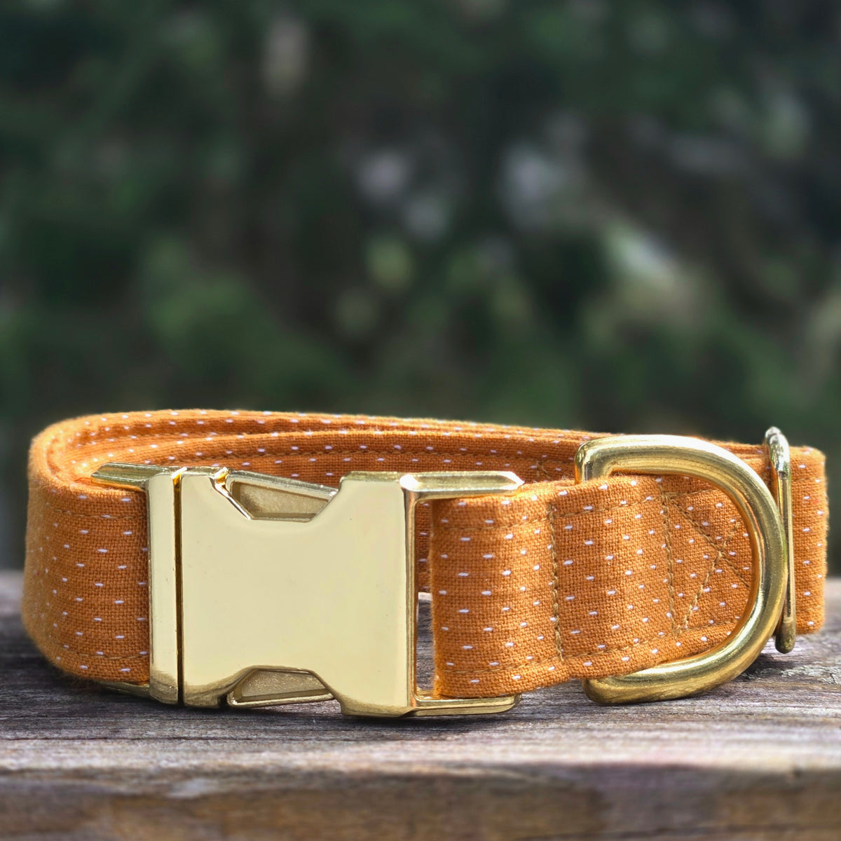 Butternut Woven Dog Collar