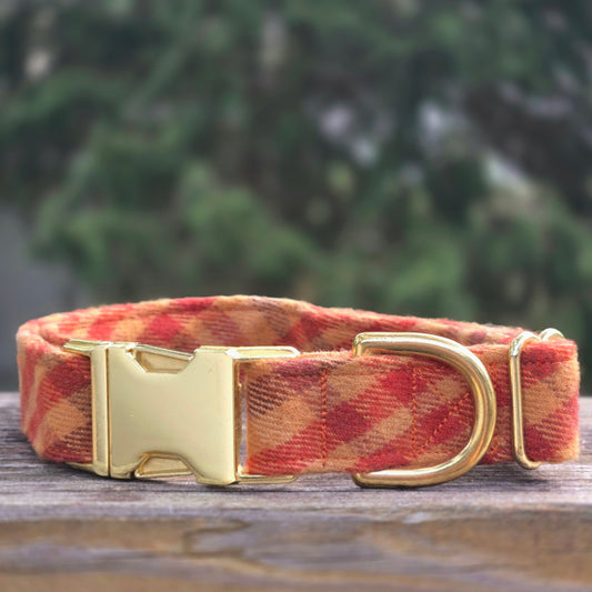 Indian Corn Dog Collar
