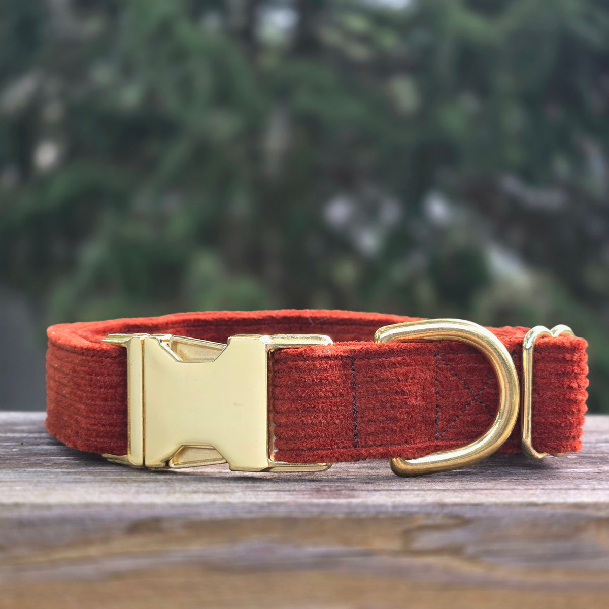 Rust Corduroy Dog Collar