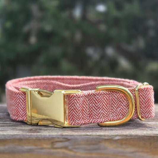 Rust Herringbone Dog Collar