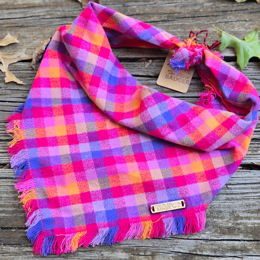 Equinox Plaid Dog Bandana
