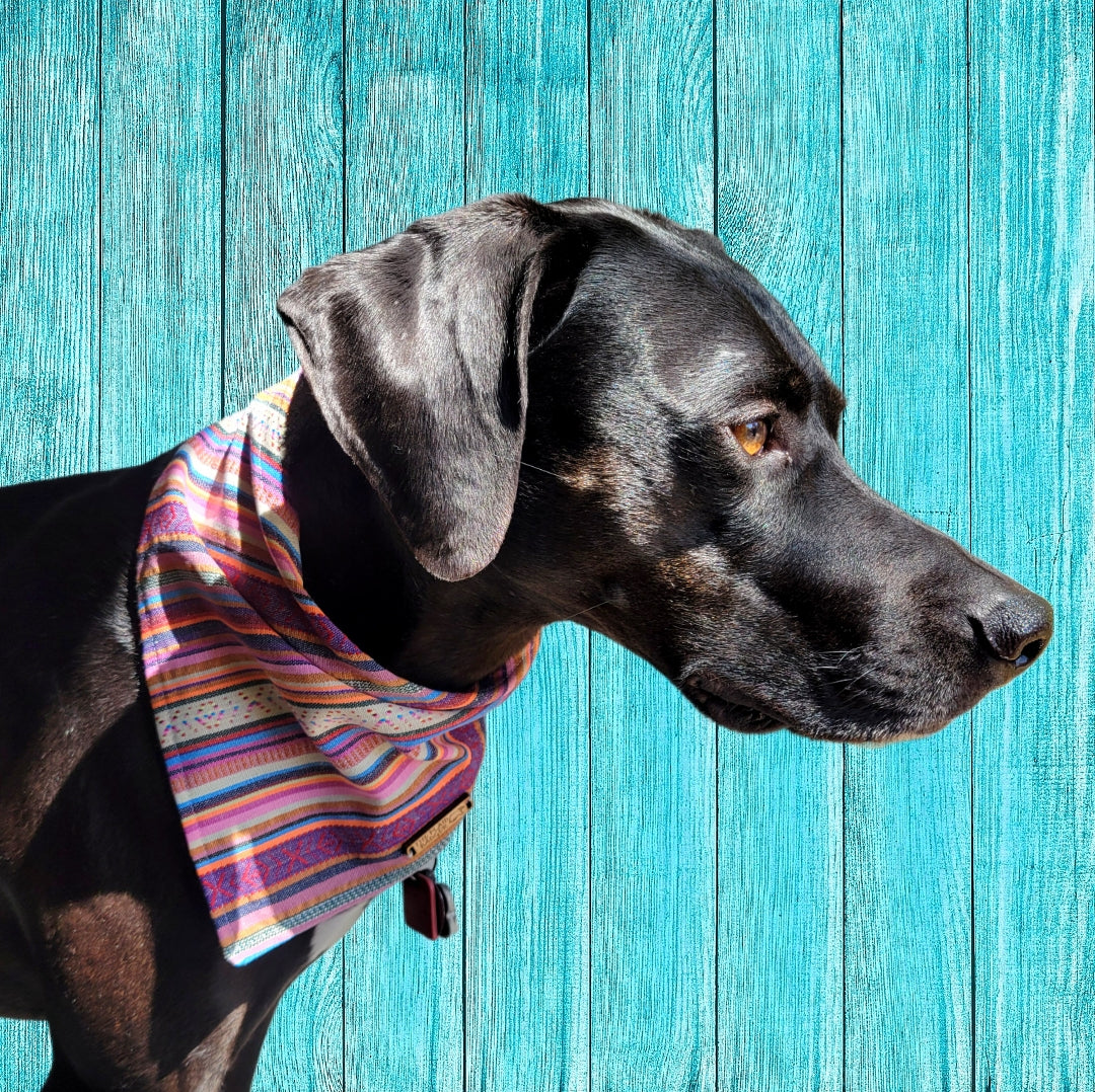 Bright Multicolor Boho Dog Bandana