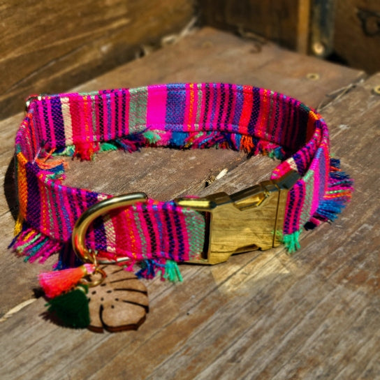Ensenada Fringe Dog Collar