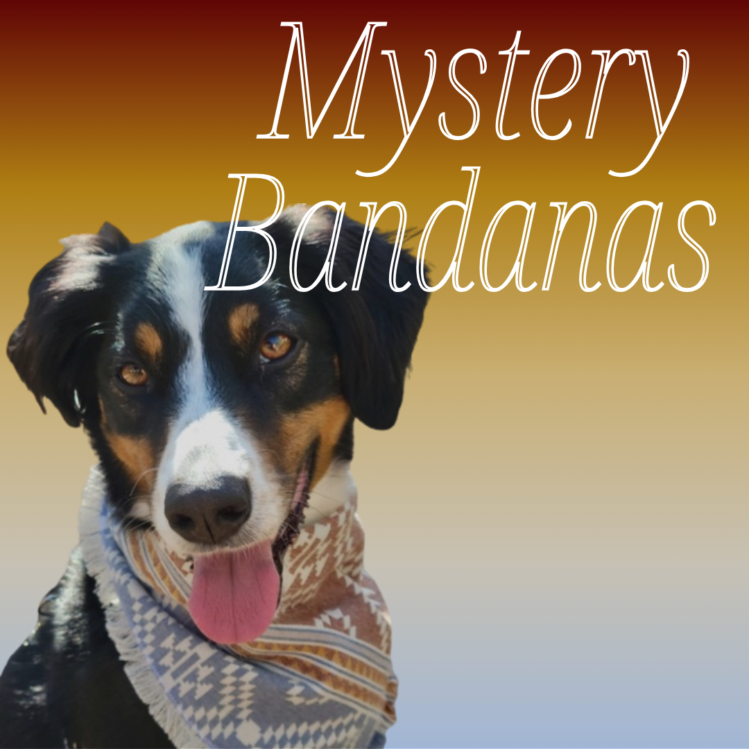 Mystery Dog Bandana