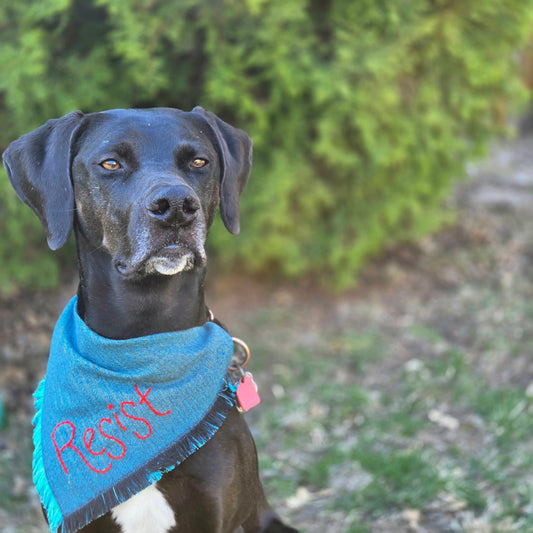 Resist Dog Bandana