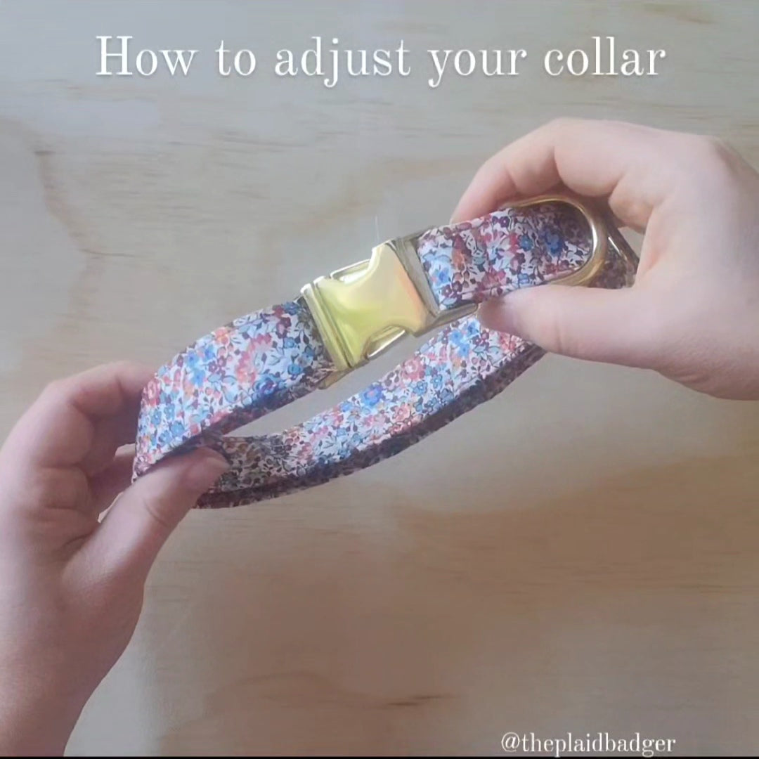 Load video: How to adjust your new collar