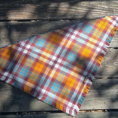 Apple Picking Dog Bandana