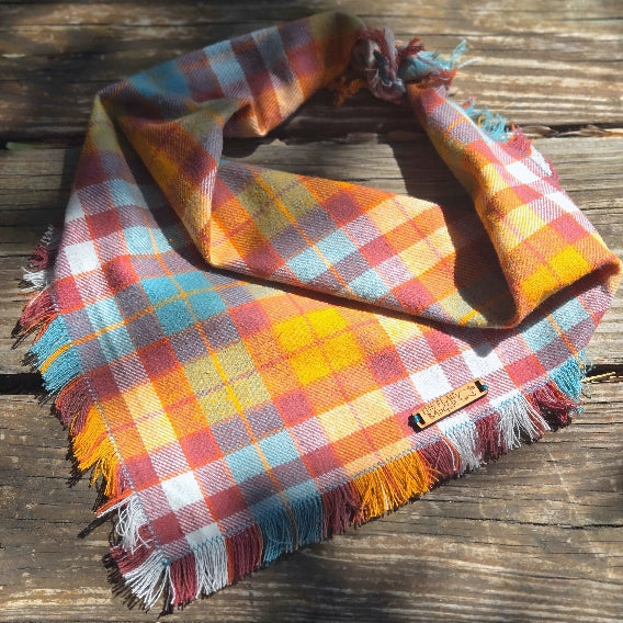 Apple Picking Dog Bandana