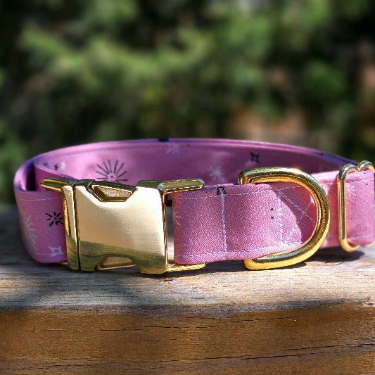 Seconds Sale - Aura Dog Collar