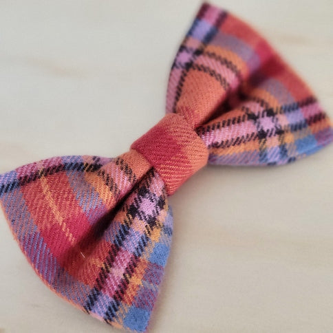 Autumn Blaze Dog Bow Tie