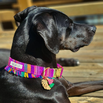Ensenada Fringe Dog Collar
