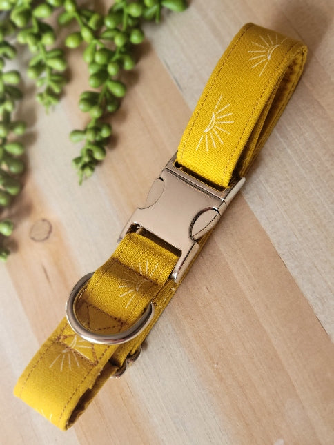 minimalist dog collar, sun with rays centered on collar in boho type style , solid mustard yellow background