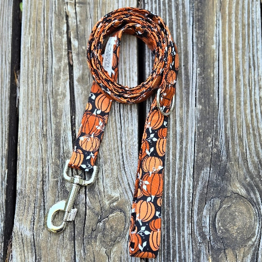 Bold Pumpkins Dog Leash