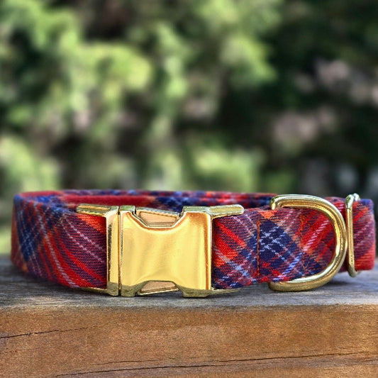 Seconds Sale - Bonfire Dog Collar